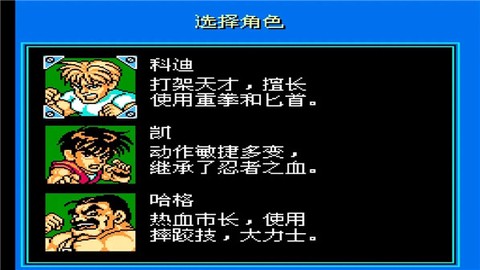 sd快打旋风[图2]