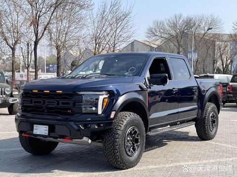 荒野大镖客猛禽是什么