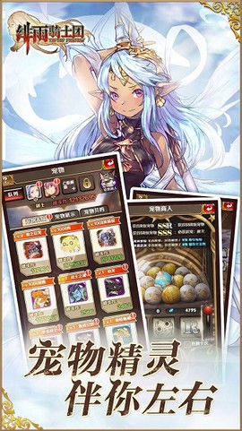 绯雨骑士团[图1]