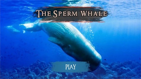 抹香鲸模拟器图3