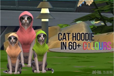 模拟人生4怎么洗猫