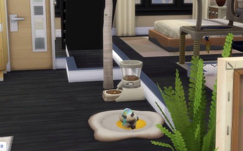 模拟人生4怎么洗猫[图2]