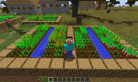 我的世界怎么种菜视频