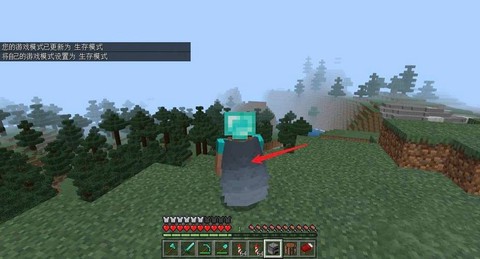 我的世界里翅翼怎么用[图1]