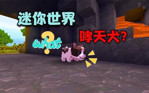 迷你世界什么地方有狗