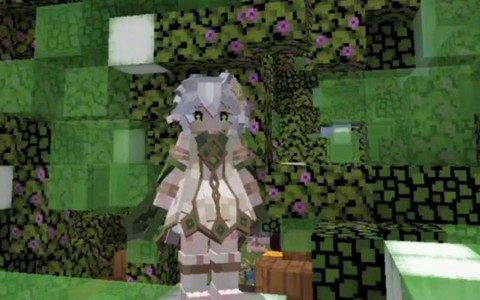 我的世界时装怎么做[图2]