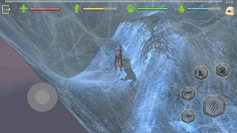 老虎生存大作战[图1]