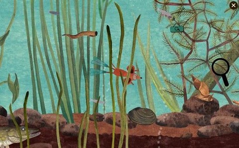 小棕鼠的自然生态百科图2