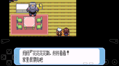 口袋妖怪红宝石图3