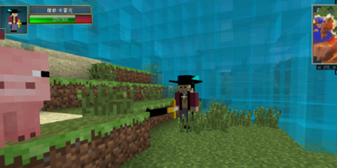 我的世界：海贼王恶魔果实模组图1