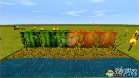 迷你世界方西瓜怎么种