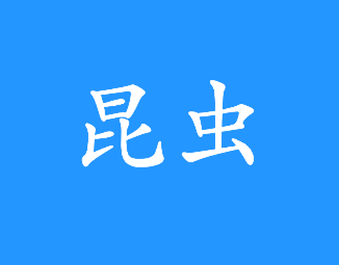 昆虫游戏盒子图1