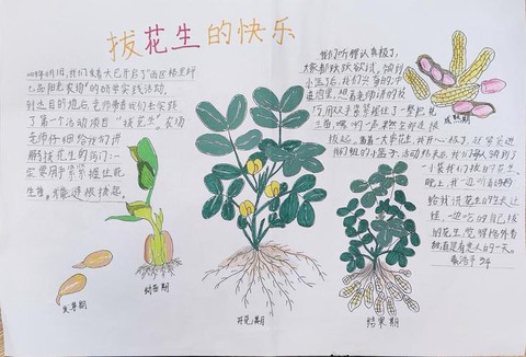 迷你世界怎么种花种树