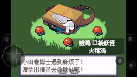 口袋妖怪绿宝石[图3]