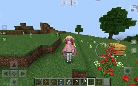 我的世界自定义史蒂夫怎么用[图2]