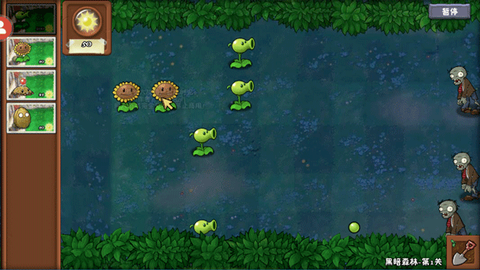 植物大战僵尸冒险时光[图1]