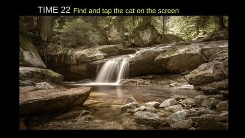 寻找隐藏猫咪[图1]