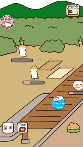 猫咪田园图3