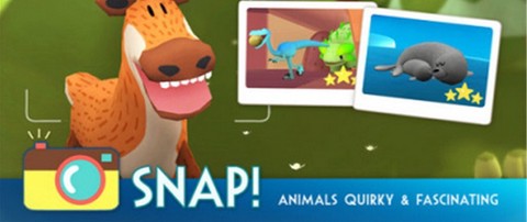 动物摄影乐园图3