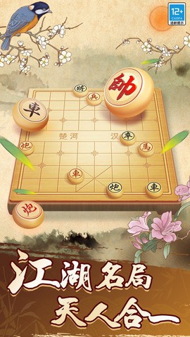 天天玩象棋[图1]