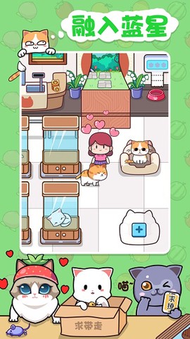 蓝星猫猫教[图1]