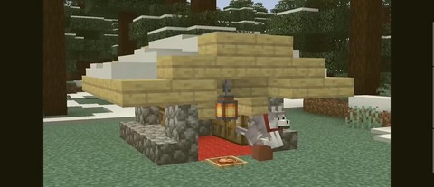 我的世界狗窝怎么建[图2]