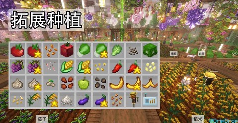 我的世界葡萄怎么种[图2]