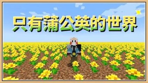 我的世界蒲公英有什么用