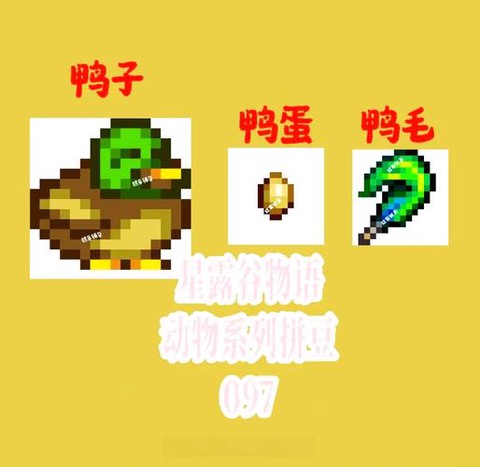 星露谷物语如何鸭毛