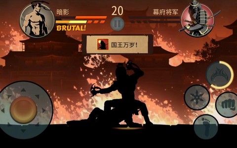 暗影格斗2幕府将军怎么打[图2]