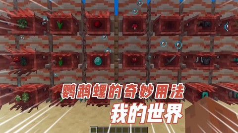 我的世界鹦鹉有什么用