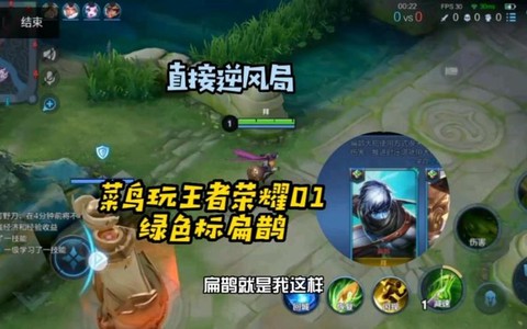 王者荣耀菜鸟怎么玩