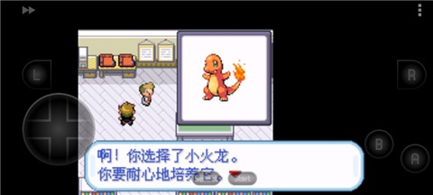 口袋妖怪：叶绿[图3]