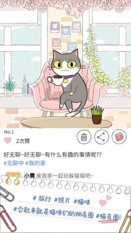 猫友圈图3