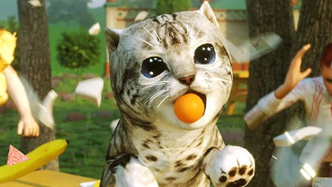 寻找喵星人[图1]