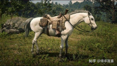 荒野大镖客什么马大