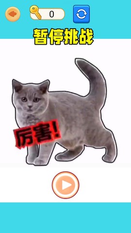 极限暂停挑战图1