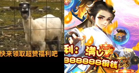 口袋三国志online[图1]