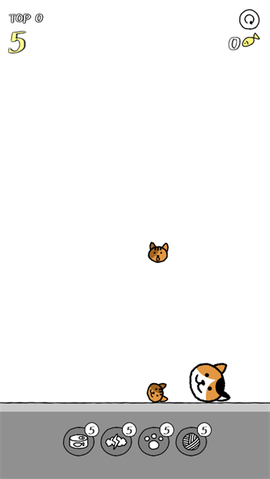 猫咪真的很爆爆[图2]