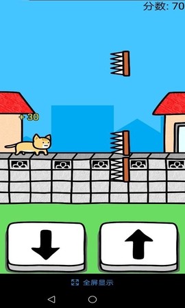 和猫咪一起玩[图1]