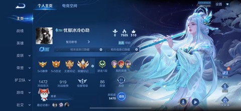 荣耀王者数字代表什么