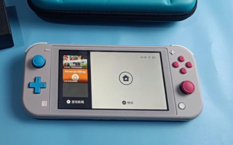 switchlite宝可梦[图2]