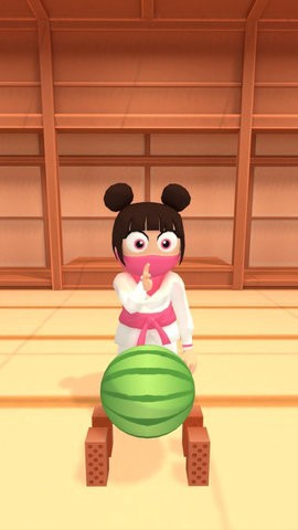 空手道破坏者图1