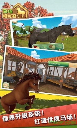 马场模拟器图3