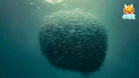 小伴龙海洋世界[图4]