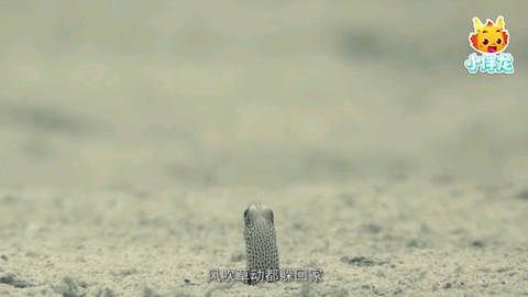 小伴龙海洋世界[图5]