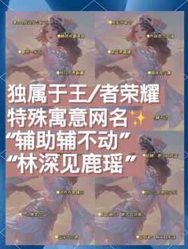 王者荣耀竖着的名字怎么弄的