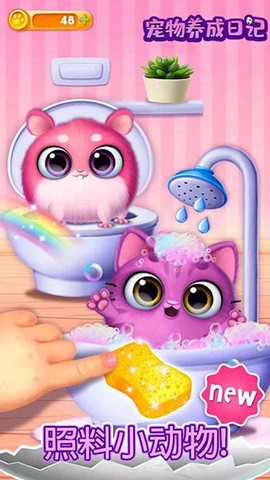 宠物养成日记图1