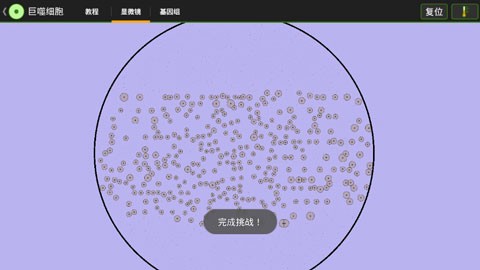 倒水排序模拟器图2