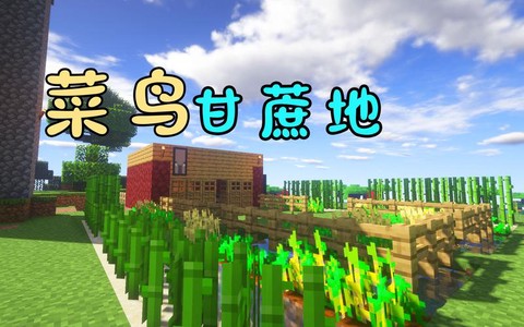 我的世界甘蔗怎么长得快